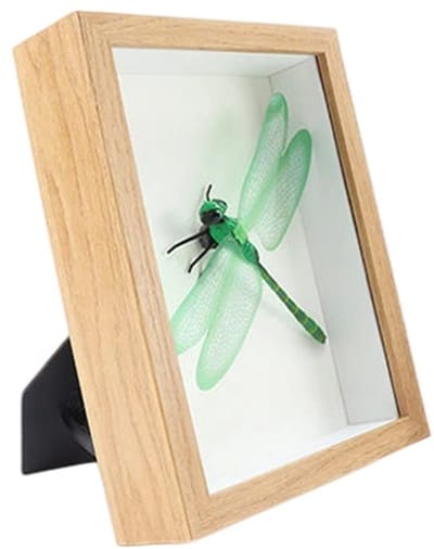 Allecto - Schaduwbox - Fotolijst Houtkleur - Perfect voor Droogbloemen - 5 x 7 cm - Uniek en Veiliger Voor Kinderen - Geschikt voor Iedereen
