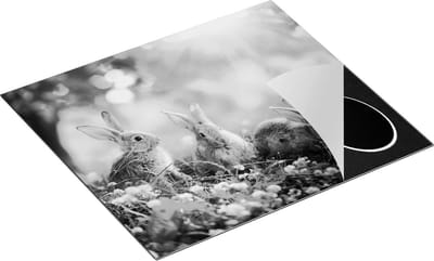 Chefcare Inductie Beschermer Drie Konijnen op het Gras bij Zonneschijn - Zwart Wit - 60x50 cm - Afdekplaat Inductie - Kookplaat Beschermer - Inductie Mat