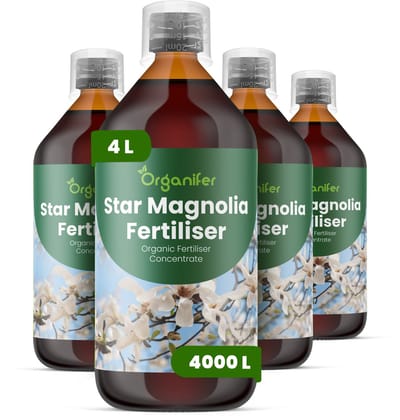 Vloeibare Meststof Voor Stermagnolia 4X1 L Voor 4000 L - Npk 3-4-3 - Ondersteunt Vroege En Rijke Bloei Bij Stermagnolia - Verbetert Knopvorming En Bloeikwaliteit - Geschikt Voor Langdurige Verzorging Van Sierheesters - Organifer