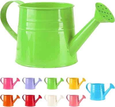 Kleine Gieter - Waterpot Kamerplanten - Planten Water Geven - Roestvrij Metaal - 1 Liter - Groen