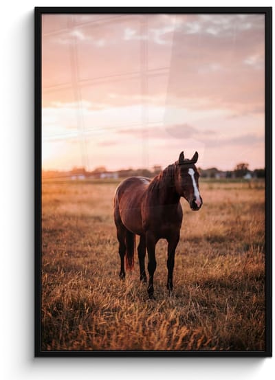 Poster in lijst - Fotolijst 80x120 cm - Posters - Paard - Zonsondergang - Bruin - Posterlijst zwart - Decoratie - Wanddecoratie woonkamer - Muurdecoratie slaapkamer