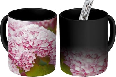 Magische Mok - Foto op Warmte Mokken - Koffiemok - Struik - Bloemen - Roze - Hortensia - Magic Mok - Beker - 350 ML - Theemok