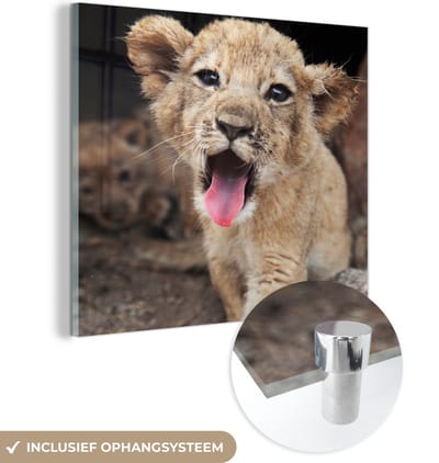 MuchoWow® Glasschilderij 50x50 cm - Schilderij acrylglas - Welp - Leeuwen - Schattig - Foto op glas - Schilderijen