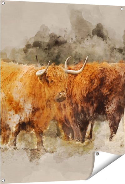 Gards Tuinposter Twee Schotse Hooglander Koeien - Abstract - 80x100 cm - Tuindoek - Tuindecoratie - Wanddecoratie buiten - Tuinschilderij