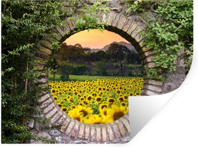 Muurstickers - Sticker Folie - Doorkijk - Bloemen - Zonnebloem - 40x30 cm - Plakfolie - Muurstickers Kinderkamer - Zelfklevend Behang - Zelfklevend behangpapier - Stickerfolie