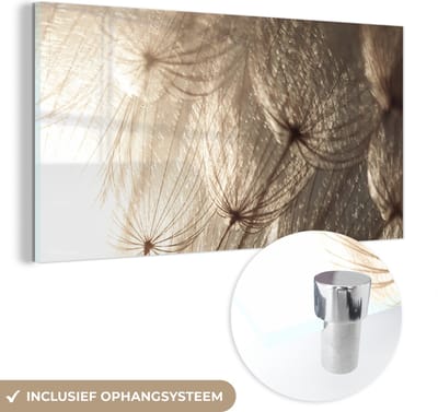 MuchoWow® Glasschilderij 120x60 cm - Schilderij acrylglas - Bloemen - Planten - Winter - Sepia - Sneeuw - Foto op glas - Schilderijen