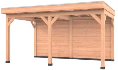Douglas overkapping, 500 x 300, met achterwand, Westwood Comfort Premium