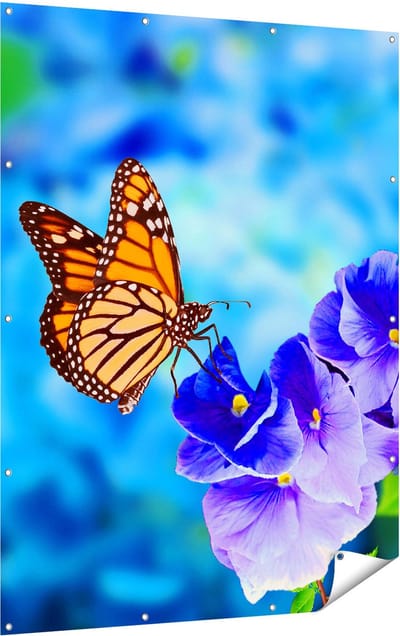 Gards Tuinposter Oranje Vlinder bij Paarse Bloemen - 120x160 cm - Tuindoek - Tuindecoratie - Wanddecoratie buiten - Tuinschilderij