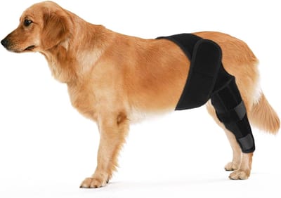 Hondenachterbeenbeugels, Hondenbeenbeugels voor Achterbeen Hond ACL-Brace Achterbeen Hondenkniebrace voor Hond ACL-Brace Achterbeen (Zwart, Maat S)