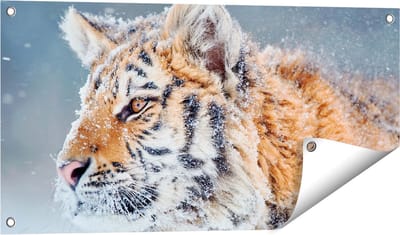 Gards Tuinposter Tijger tijdens de Sneeuw - 80x40 cm - Tuindoek - Tuindecoratie - Wanddecoratie buiten - Tuinschilderij