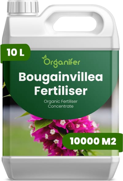 Vloeibare Meststof Voor Bougainvillea 10 L Voor 10000 M2 - Npk 2-1-8 - Krachtige Groei - Levendige Schutbladeren - Kleurintensiteit - Nieuwe Scheuten - Sterk Wortelstelsel - Compacte Groei - Herstel Na Snoei - Organifer