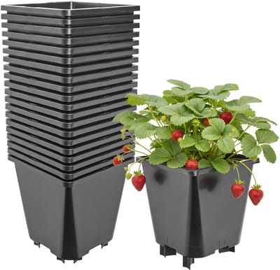 Garronda Set van 20 kunststof bloempotten met poten voor aardbeien en frambozen (Zwart, 19,5 x 19,5 x 21 cm – 5 L) GD-KW-F