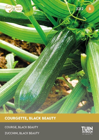 Courgette Black Beauty Zaden – Hoge Opbrengst, Sterke Groei, Groene Courgette voor Moestuin | Tuin de Bruijn