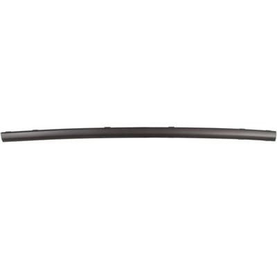 Sierlijst/beschermstrip, bumper BLIC 5703-05-2555972P