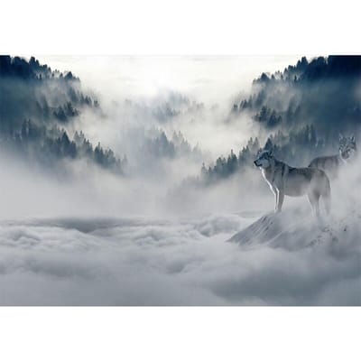 Diamant borduurwerk schilderij borduurpakketten muur mozaïek mistig bos Home decor cadeau 20X30CM