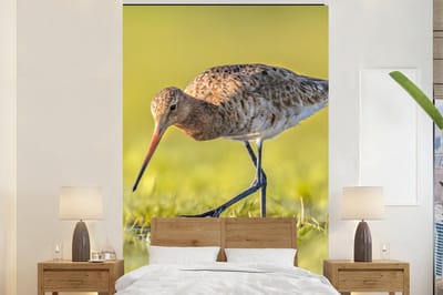 Behang - Fotobehang Vogels - Gras - Landschap - Grutto - Breedte 225 cm x hoogte 350 cm