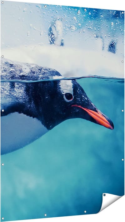 Gards Tuinposter Pingu�n Zwemt in het Water - 120x180 cm - Tuindoek - Tuindecoratie - Wanddecoratie buiten - Tuinschilderij