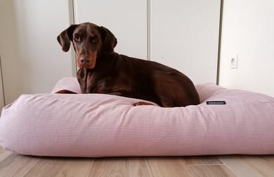 Dog's Companion Hondenkussen / Hondenbed - XS - 55 x 45 cm - Lichtroze Ribcord