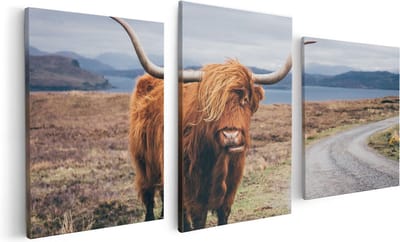 Artaza Canvas Schilderij Drieluik Schotse Hooglander Koe Op De Weg - 120x60 - Foto Op Canvas - Canvas Print