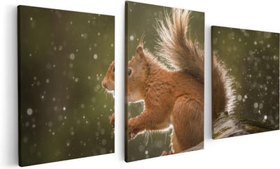 Artaza Canvas Schilderij Drieluik Eekhoorn in de Regen - 120x60 - Foto Op Canvas - Canvas Print