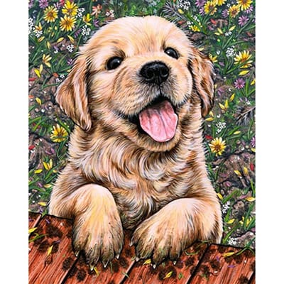 Diamant peinture diamant Animal mignon chien point de croix diamant broderie 20X30CM