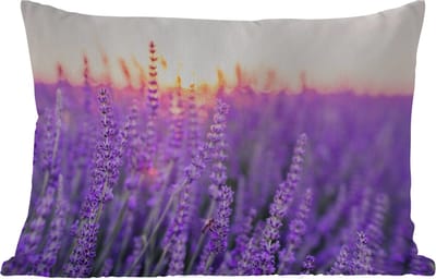 Buitenkussens - Tuin - Lavendel - Close-up - Paars - Bloemen - 50x30 cm