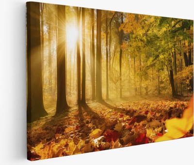 Saammp Muurcirkel Hout - Kolibrie vliegt tussen de bloemen - Natuur - Dieren- Ø 90 - Wandcirkel - Wanddecoratie Cirkel - Muurdecoratie Woonkamer - Slaapkamer decoratie - Rond Schilderij