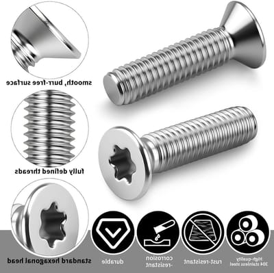 Solidchoice - Set van 50 RVS Schroeven met Torx Aandrijving M4 x 10 mm