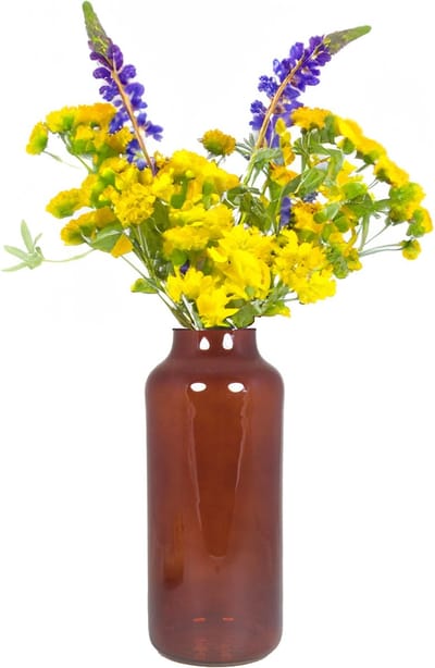 Bela Arte Bloemenvaas Milan - transparant bruin glas - 15 x 35 cm - melkbus vaas met smalle hals