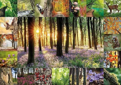 Waldbaden Puzzel - Natuur Puzzel - Ontspannen Puzzelen - Gedetailleerde Bosmotieven - 1000 Stukjes - Multicolor
