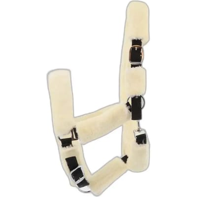 Halster voor paarden Norton Full mouton synthétique