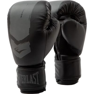 Bokshandschoenen Everlast Prospect 2