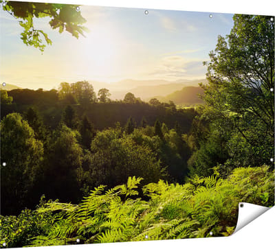 Gards Tuinposter Zonsondergang vanuit een Bos - 160x120 cm - Tuindoek - Tuindecoratie - Wanddecoratie buiten - Tuinschilderij
