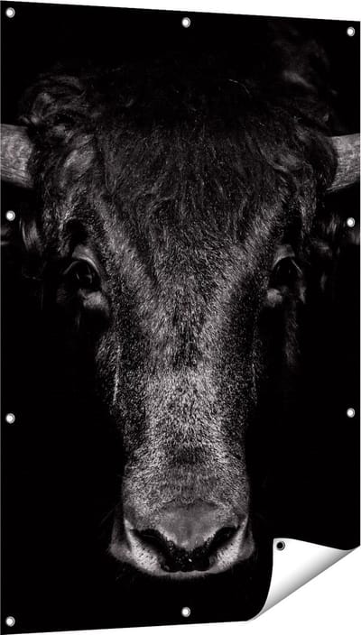 Gards Tuinposter Stierenkop - Stier - Zwart Wit - 80x120 cm - Tuindoek - Tuindecoratie - Wanddecoratie buiten - Tuinschilderij