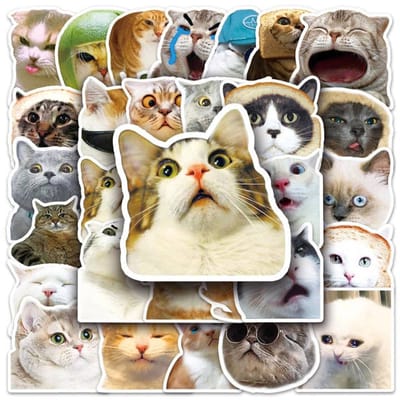 Dailygoods- Kattenstickers 50 stuks - Grappige Stickers - Waterdichte