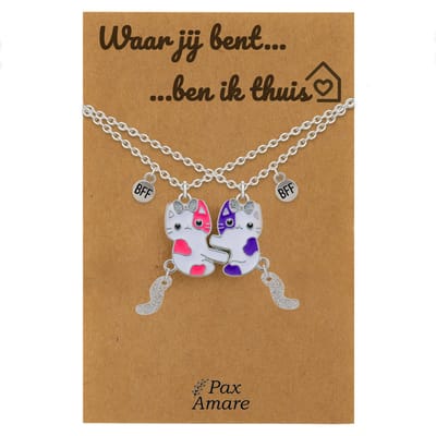 Koppel Ketting voor 2 'Waar jij bent, ben ik thuis' - Magnetische Katjes - Vriendschapsketting op Cadeau Kaartje - 45cm + 5cm verstelbaar - Zilverkleurig - Persoonlijke Hanger - Pax Amare
