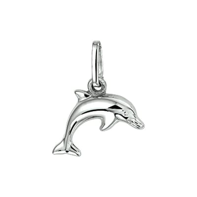Glanzende Dolfijn Hanger van Gerhodineerd Zilver