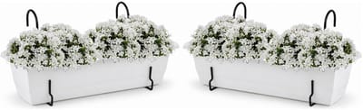 Plasticforte plantenbakken Balcony - 2x stuks - wit - rechthoek - met twee ophangbeugels - 50 x 18 x 15 cm - kunststof - bloembakken