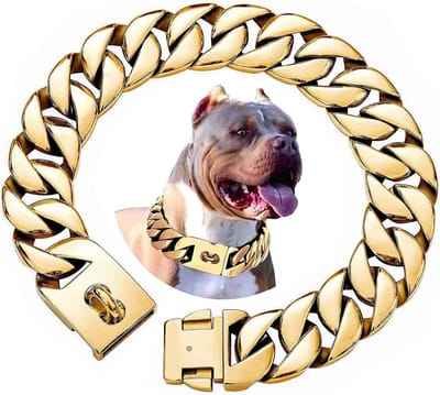 Zeer Sterke Halsband Hond Groot – Dikke RVS Cuban Link Ketting met Gesp – 18K Goud Afwerking
