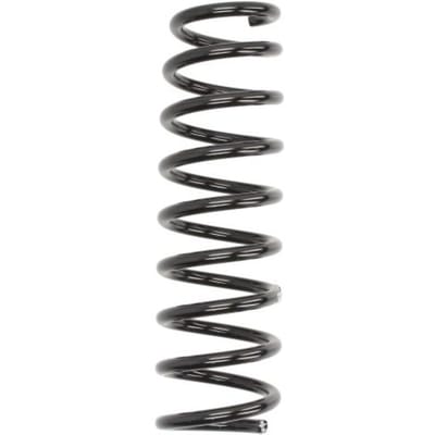 Chassisveer SACHS 994 687