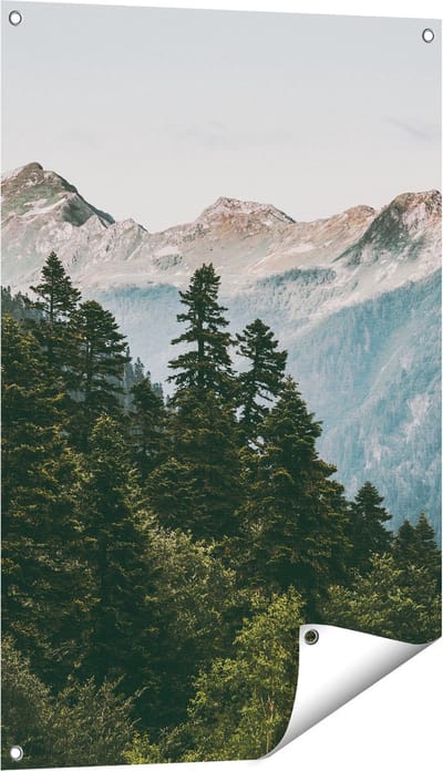 Gards Tuinposter Bos met Bomen in de Bergen - 60x90 cm - Tuindoek - Tuindecoratie - Wanddecoratie buiten - Tuinschilderij