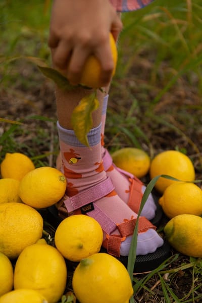 Sticky Lemon - sokken - boerderij - citroen