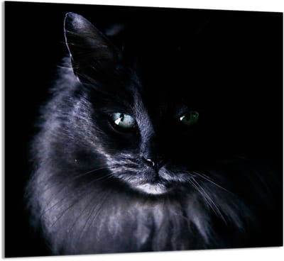 TMK ArtDeko - Snijplank - Gehard Glas - 65x60 cm - Kat