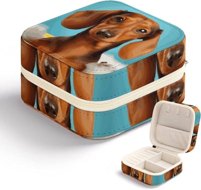 Sieraden etui - Sieraden houder - Reizen en opbergen - Compact multifunctioneel ontwerp - 10.7 x 10.2 x 6.1 cm