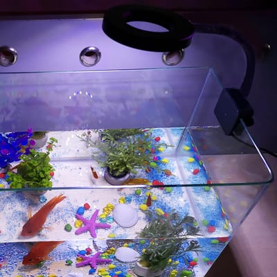 Lumière d'aquarium à LED 7W 18 LED DC 5V Clip à pince pour bocal à poissons Lampe de vue Alimentée par USB Fonctionnement 3 Couleurs d'éclairage Changeables 10 noir