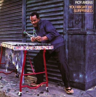 Roy Ayers - You Might Be Surprised (CD)