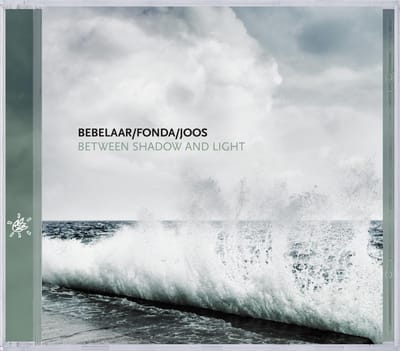 Between Shadow And Light - Patrick Bebelaar
