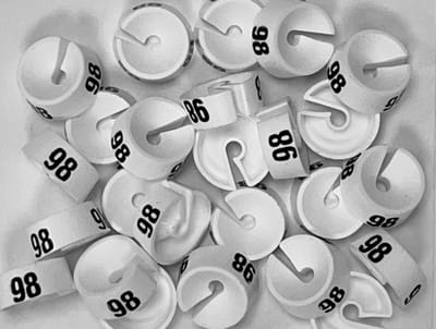 Bleijenberg Maatdopje maat 98 wit - Maataanduiding voor kledinghangers per 25 stuks - Maatringetje Ø 20 mm - Kledinghangers - Kleerhanger - Kapstok - Mark-Brics - wisersizer