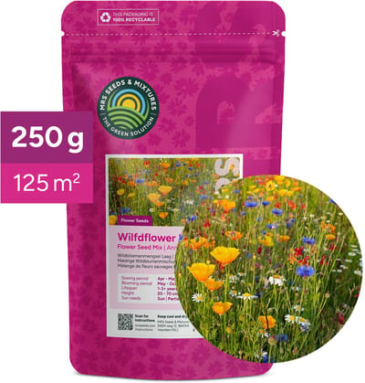 Wildbloemenmengsel Laag - één- en meerjarige bloemzaden - 250 gram voor 125 m² - 31 laagblijvende wilde bloemen - Veldbloemen zaad - Lokt bijen, hommels en vlinders