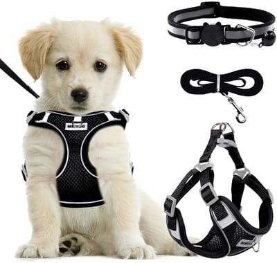 Dailygoods- Hondentuigje Ademend Vest - Verstelbaar Anti-Trek Hondenharnas - Inclusief Halsband en Riem - Lichtgewicht en Comfortabel - Geschikt voor Kleine/Middelgrote Honden
